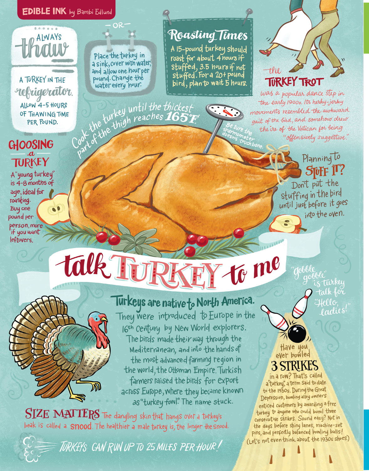 Turkish talk. Talk Turkey. Turkey meaning. Talk Turkey перевод идиомы. Talking Turkey Multi Hop.