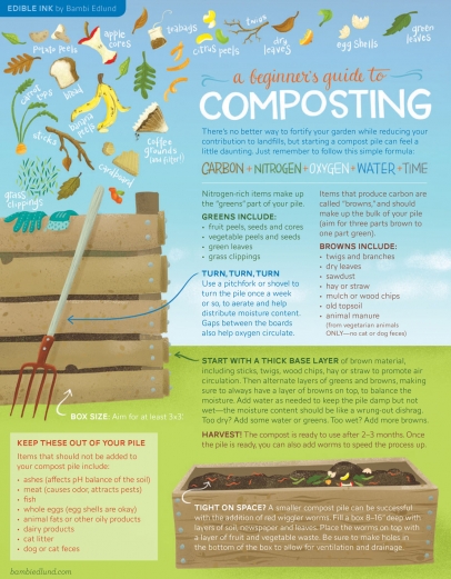 An Illustrated Beginner's Guide To Composting | Edible Aspen