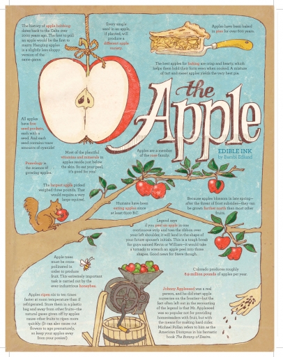 The Apple illustration by Bambi Edlund