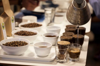 Cupping Coffee - steeping the grounds