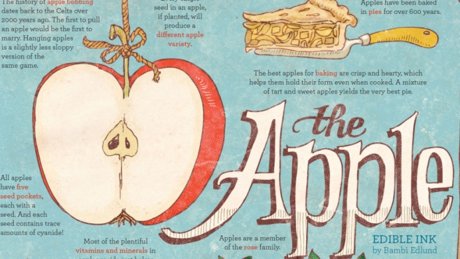 The Apple illustration by Bambi Edlund