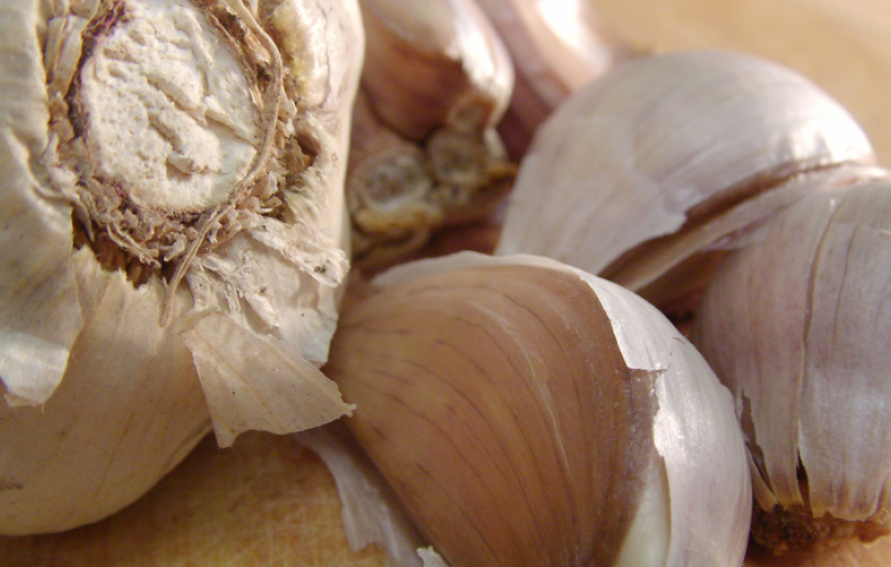 Garlic Confit | Edible Aspen